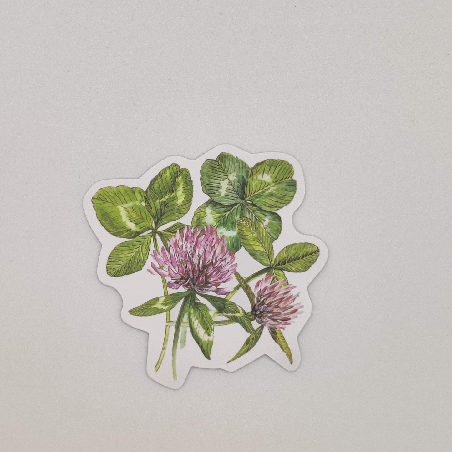 Leafs 🍃and water💧flower 🌺 sticker